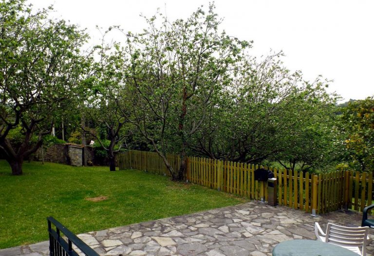 residencia castiello 768x527