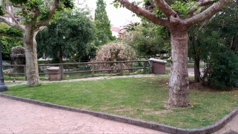 ballina jardin miciudad 1 768x432