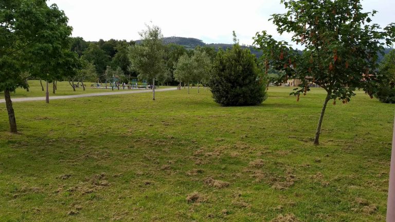 barquerina niños miciudad 768x432