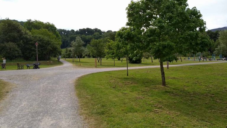 barquerina rutas miciudad 768x432