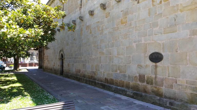 lateral oliva miciudad 768x432