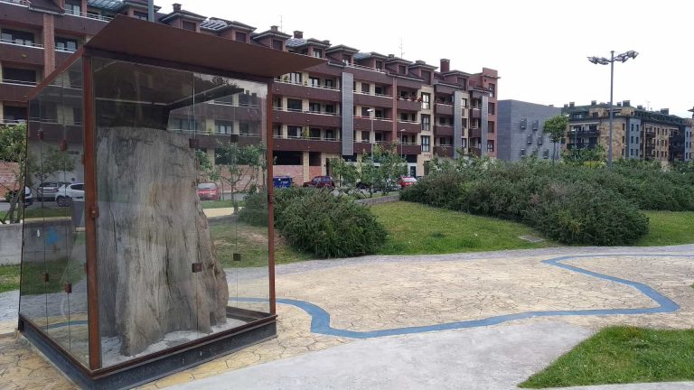 pelambre roble miciudad 768x432