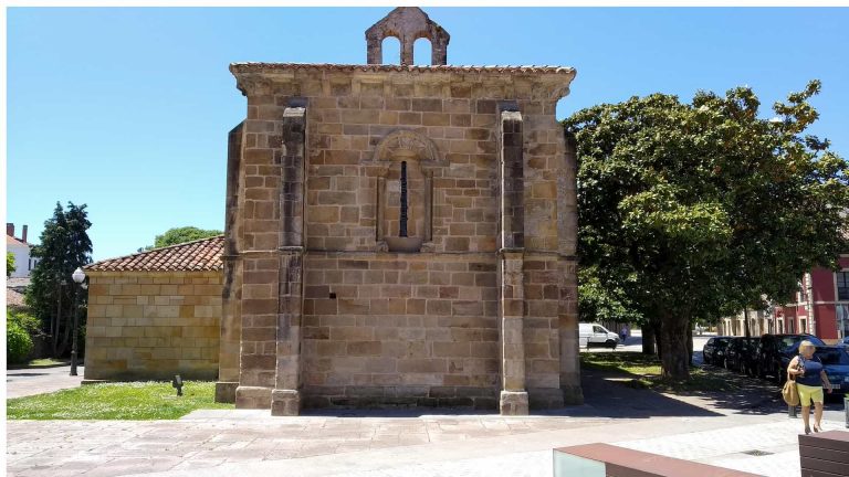 trasera oliva miciudad 768x432