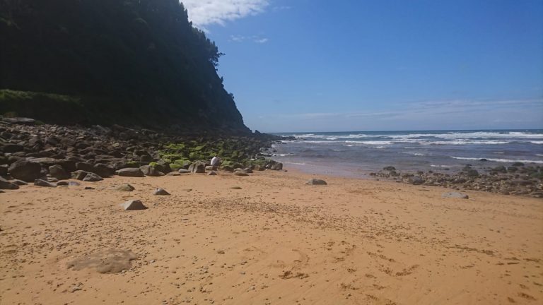 casa carenes04 miciudad 768x432