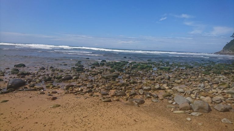 casa carenes05 miciudad 768x432