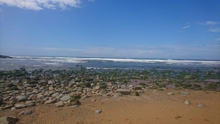 casa carenes09 miciudad 768x432