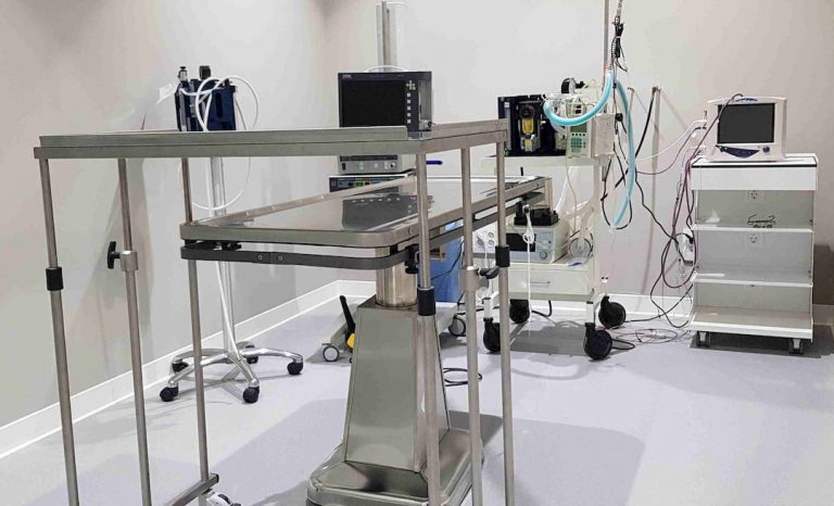 veterinaria covadonga 3 768x466