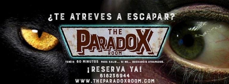 paradox 1 768x284